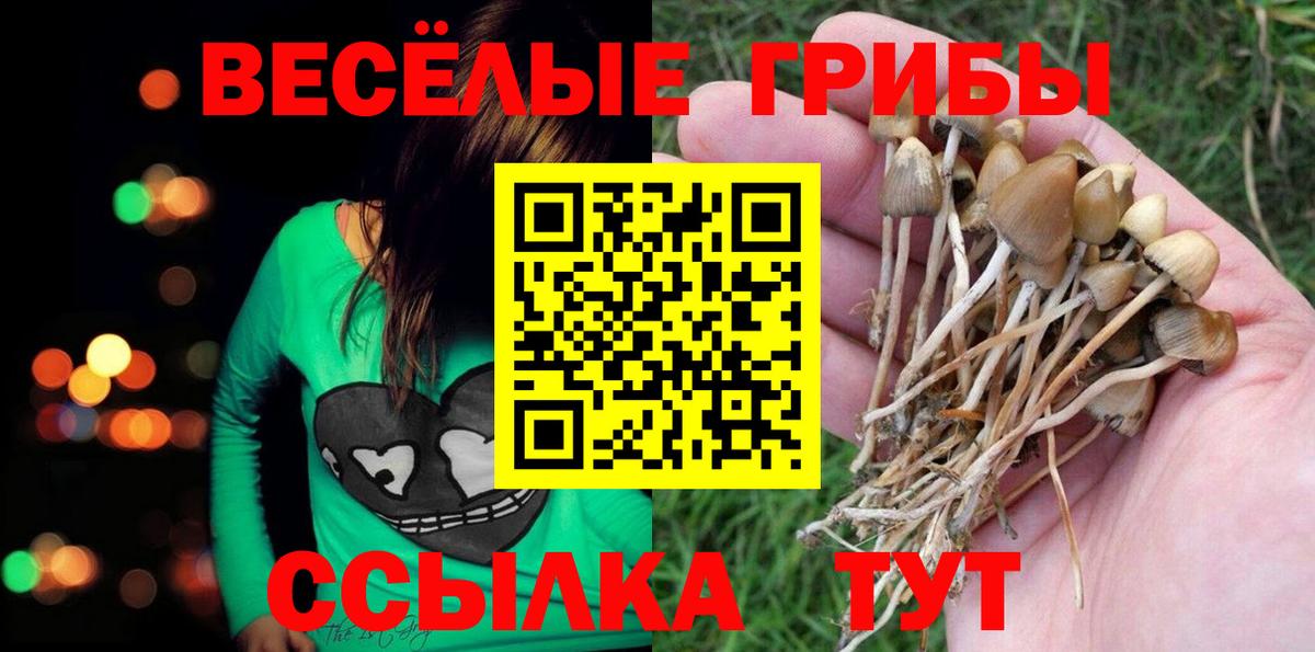 Галлюциногенные грибы Cubensis Каменск-Шахтинский
