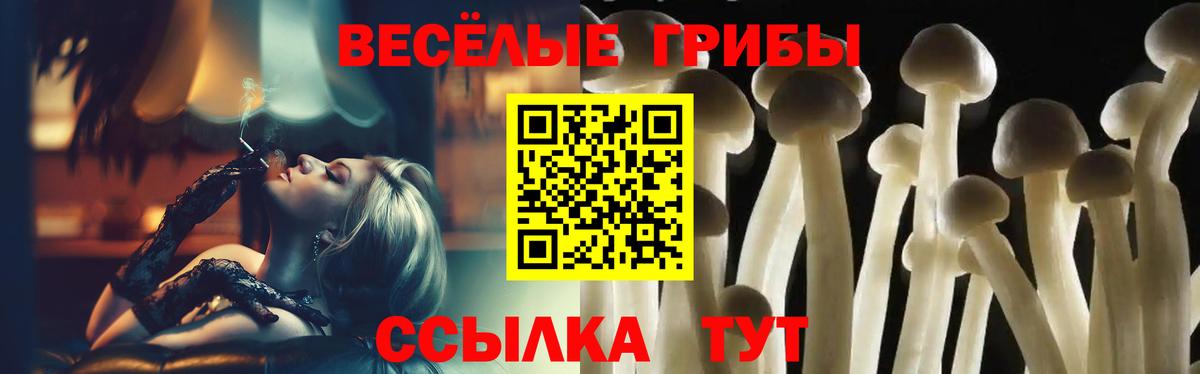 Каменск-Шахтинский  Псилоцибиновые грибы Psilocybe  Вход с VPN 